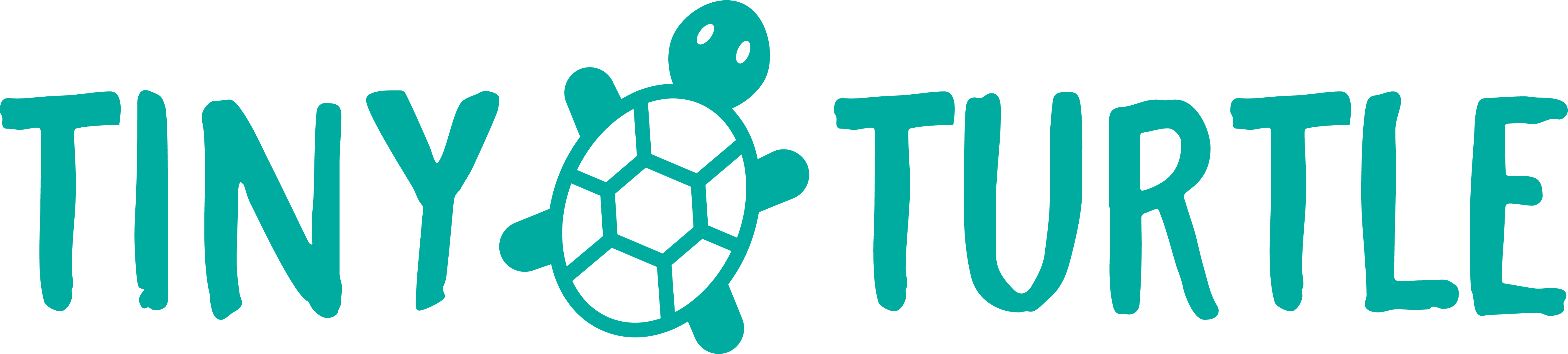 Tiny Turtle